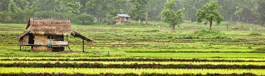 Farmlands
